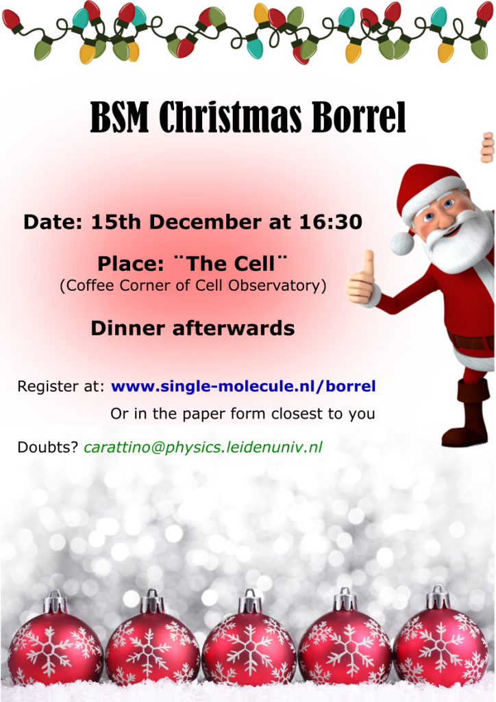 BSM_Christmas_Borrel